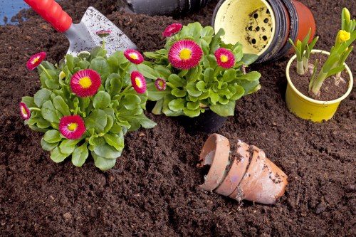 Professional lawn mowing service in Ealing