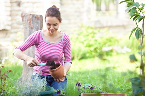 A woman with dark hair tied back, wearing a pink and white striped long-sleeved top, is seen tending to plants in a well-maintained garden. She is holding a terracotta flower pot and appears to be planting or potting flowers, with her focus directed downward. The garden features a lush green lawn with dense planting areas, including a variety of flowering plants with purple blossoms, and green shrubs or bushes. In the background, there is a garden fence or wall partially obscured by foliage, alongside a large tree trunk, indicating a spacious outdoor area typical of residential gardens in Ealing. The scene is illuminated by natural daylight, suggesting a clear or partly cloudy weather condition, and the overall setting reflects a tidy and well-kept outdoor space suitable for gardening services like planting, maintenance, or lawn care provided by companies such as Lawn Mowing Ealing.
