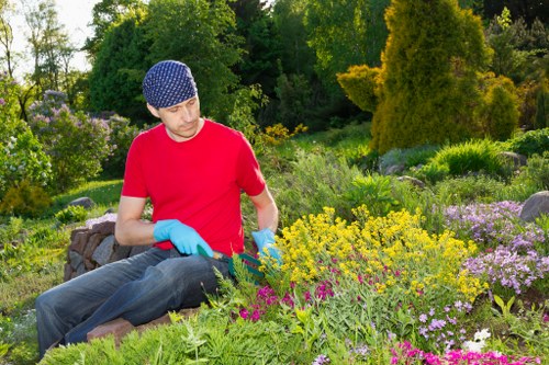 Comprehensive lawn care services in Ealing