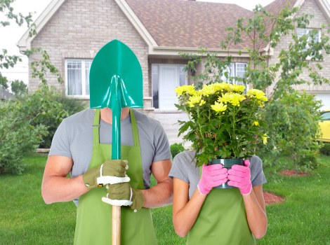 Expert team providing specialized lawn services in Ealing